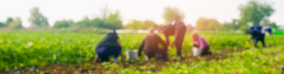 Dit zijn de belangrijkste ontwikkelingen in onze branche