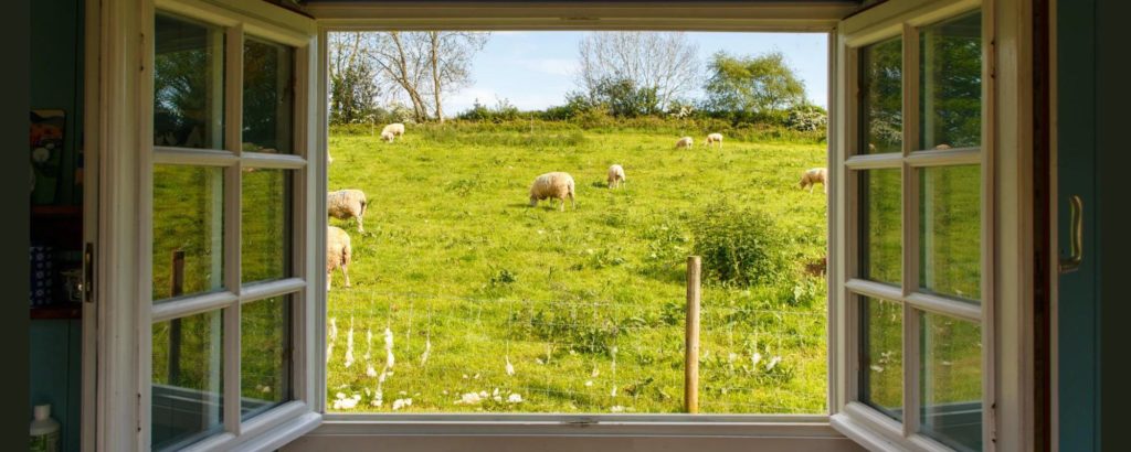 Ontwikkelingen in operatie