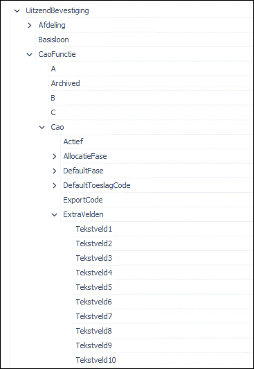 Extra velden Plan4Flex