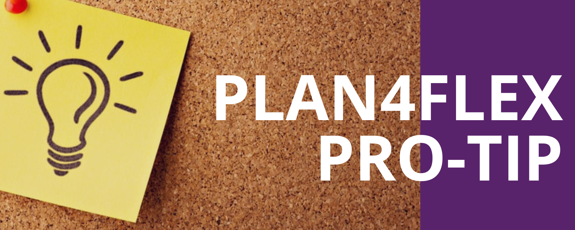 Pro-tip: eindjaarstips